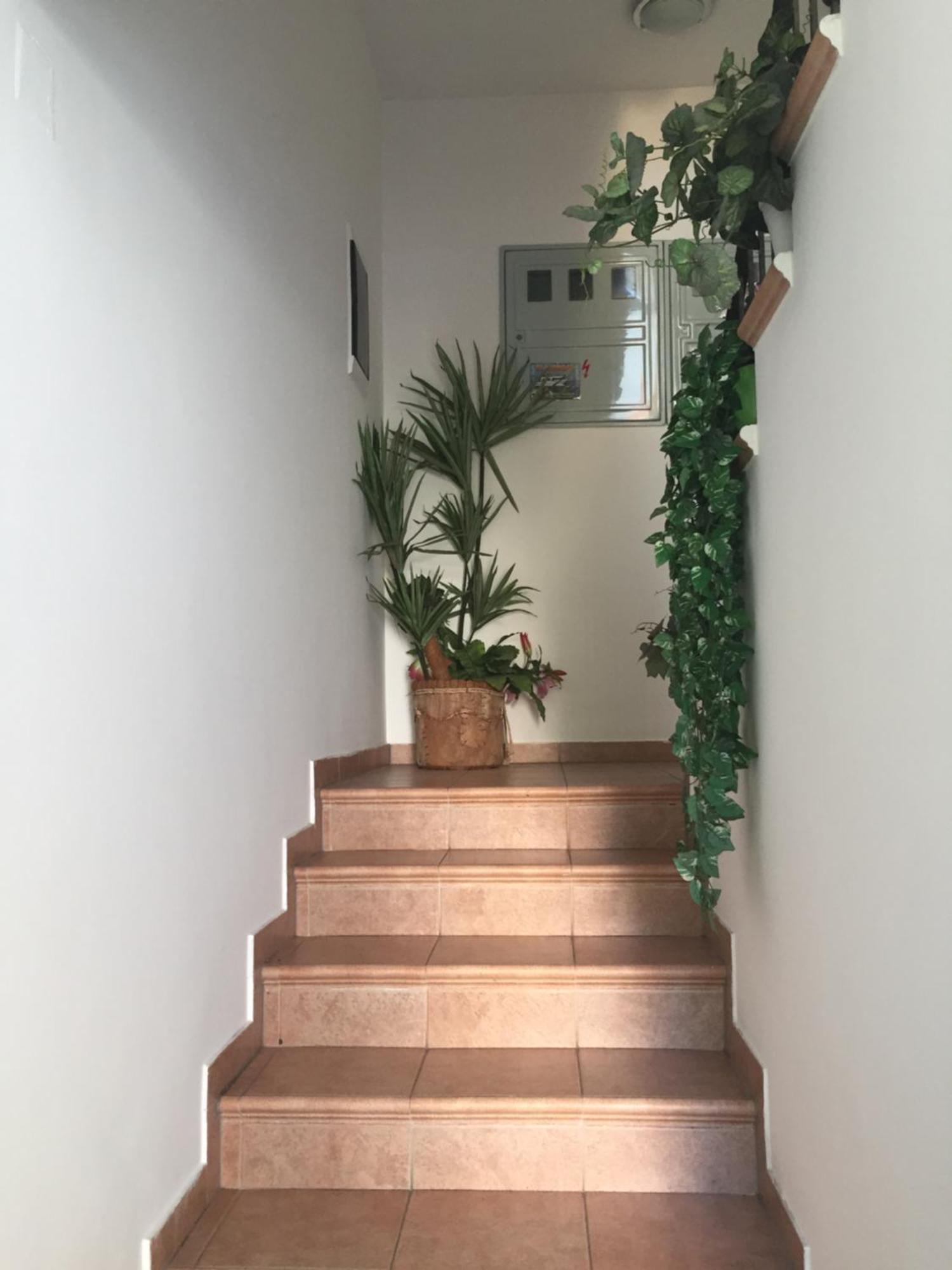 Antonia Apartment Malinska